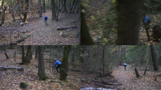 山地自行车快速穿过森林。