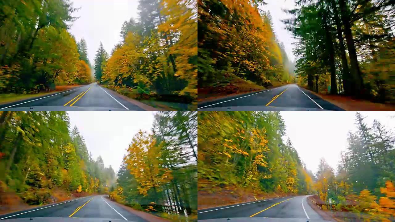 秋天的森林多彩公路静谧旅途
