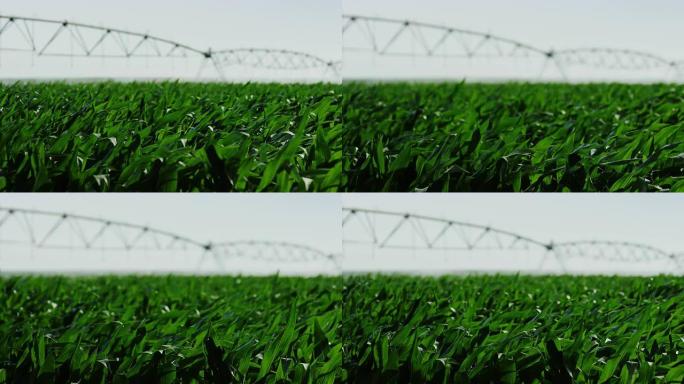 美国天然有机农业灌溉高端产品。