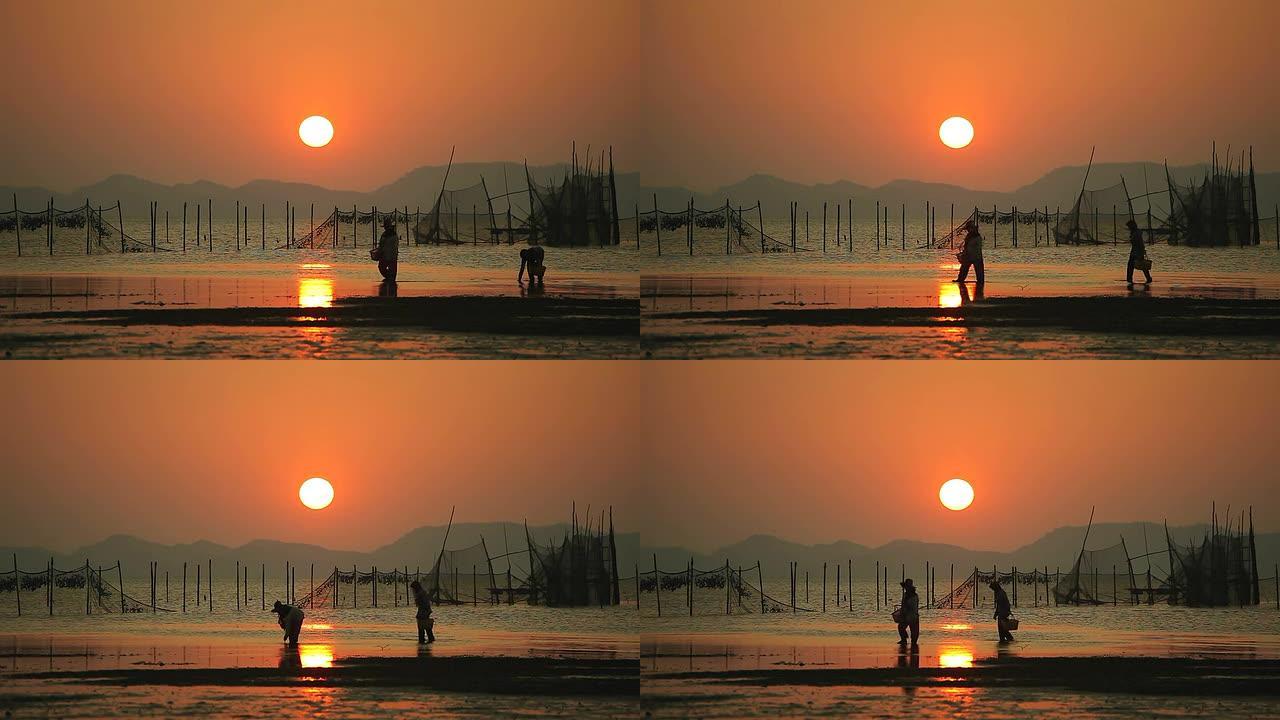 高清：日落时的渔夫。