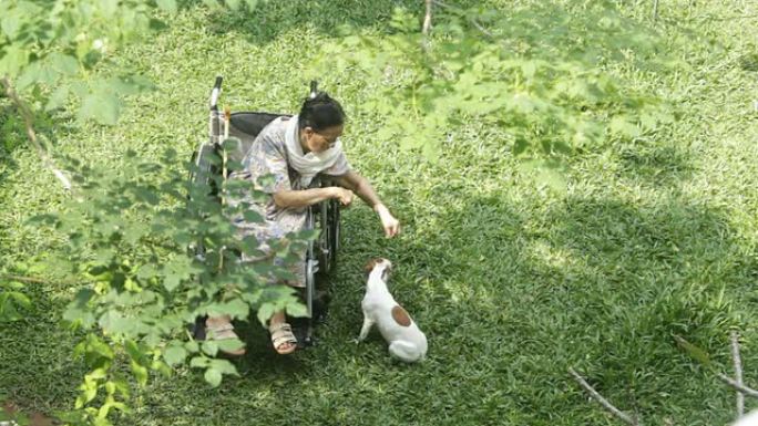 亚洲老年妇女在她的轮椅上玩狗