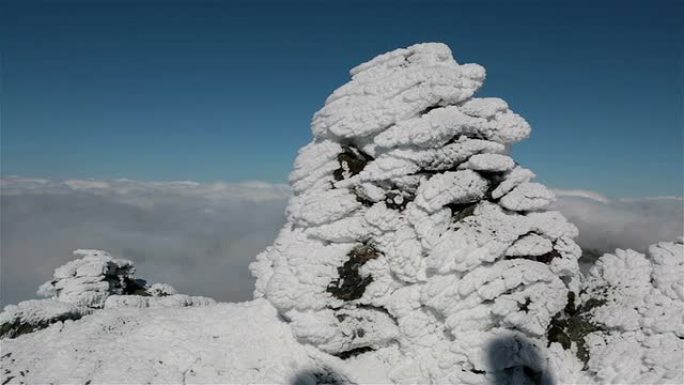 华盛顿山峰会上的冰冻因纽特人