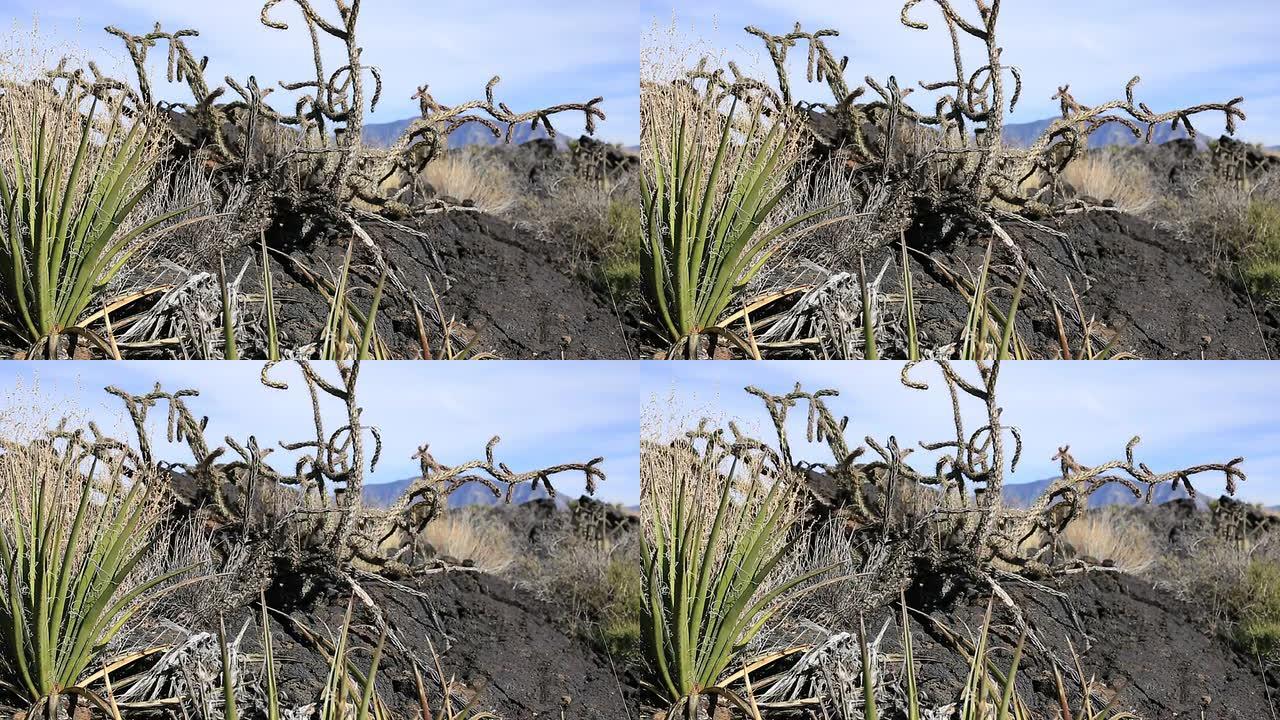 火山岩火山岩自然高山