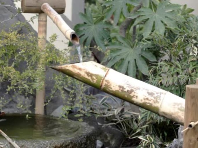 PAL：日本花园中的竹子喷泉（视频）