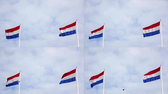 荷兰国旗在多云的蓝天下迎风飘扬