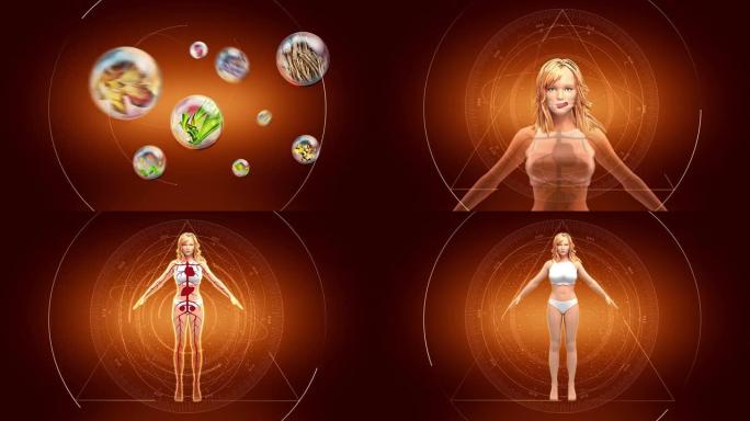 平衡身体的草药