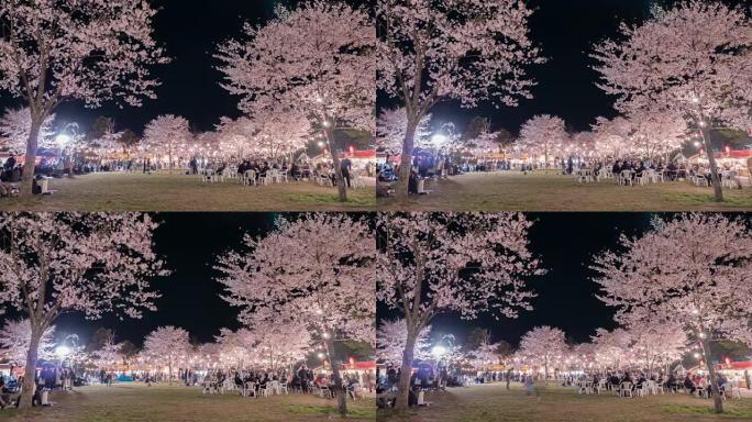 4k: 人们享受照亮的樱花