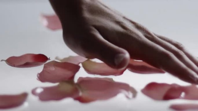 手和粉红色的花瓣