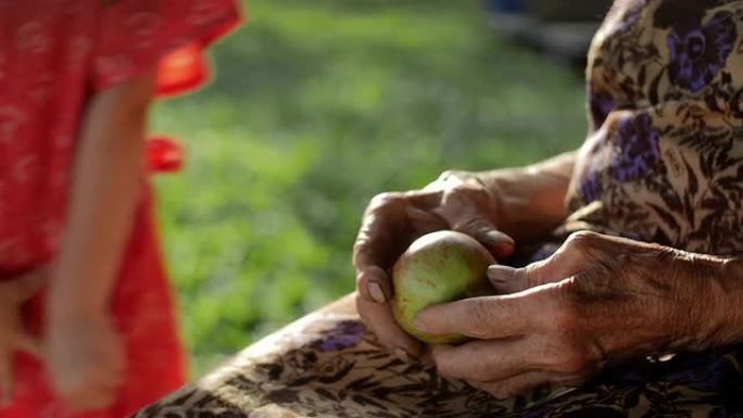 帮助的手-小女孩与祖母分享一个苹果