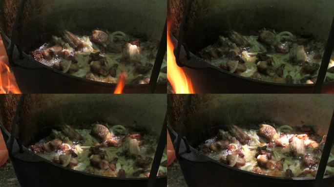 HD水壶，在燃烧的篝火上烹饪肉类