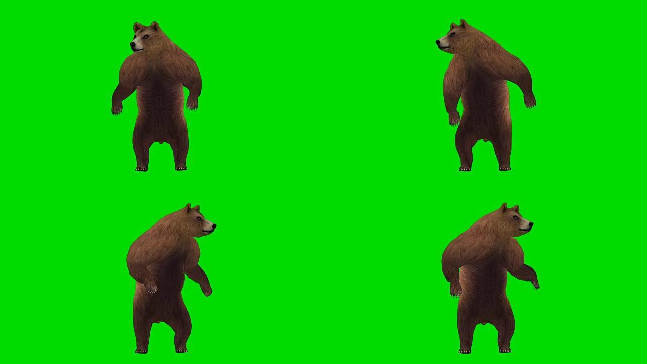好奇熊绿屏 (可循环)