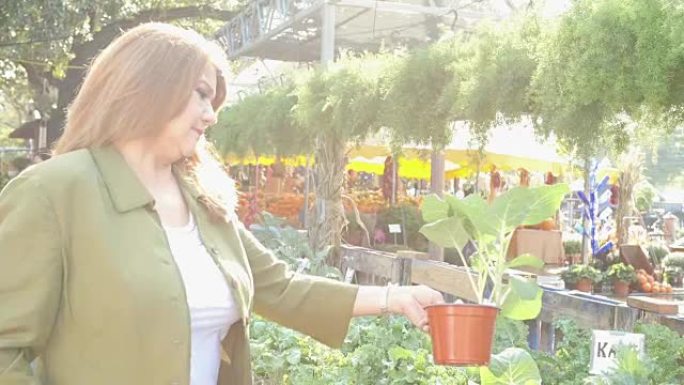 成熟的西班牙裔妇女试图决定在农贸市场或花园中心购买哪种绿叶植物