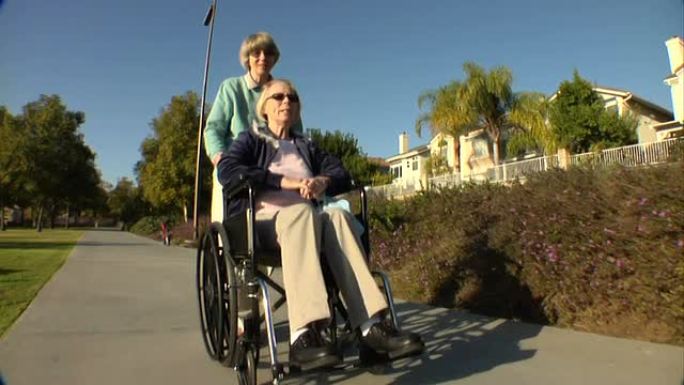 轮椅手推车在公园高清枪杀了两名女性