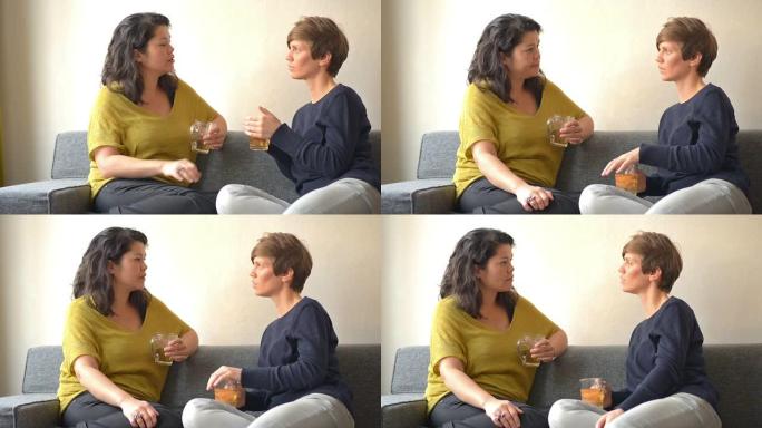 多莉：两个女人在家聊天