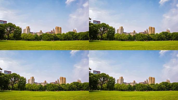 纽约中央公园大片绿地草地蓝天白云环境优美
