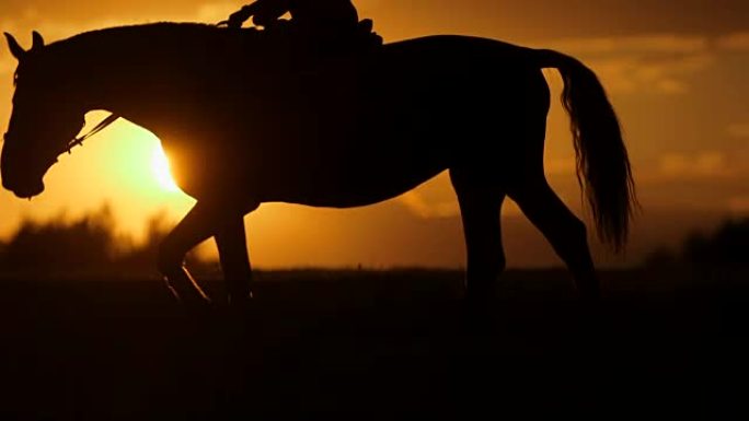 女人在日落时骑马到地平线