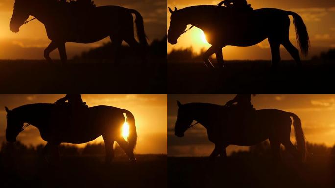 女人在日落时骑马到地平线