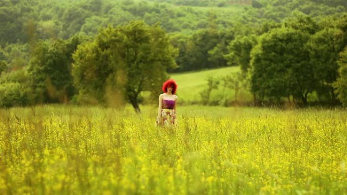 美丽的年轻红发女人在草地上玩得开心
