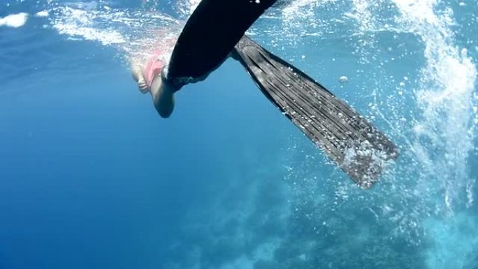 斯洛科勒潜水鱼群海洋大海野生动物