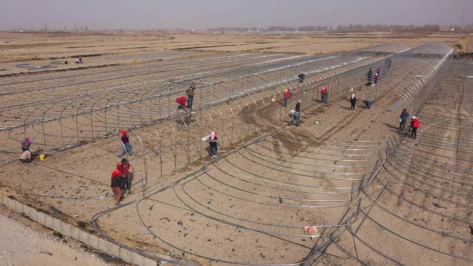 乡村田间温室大棚建设施工现场