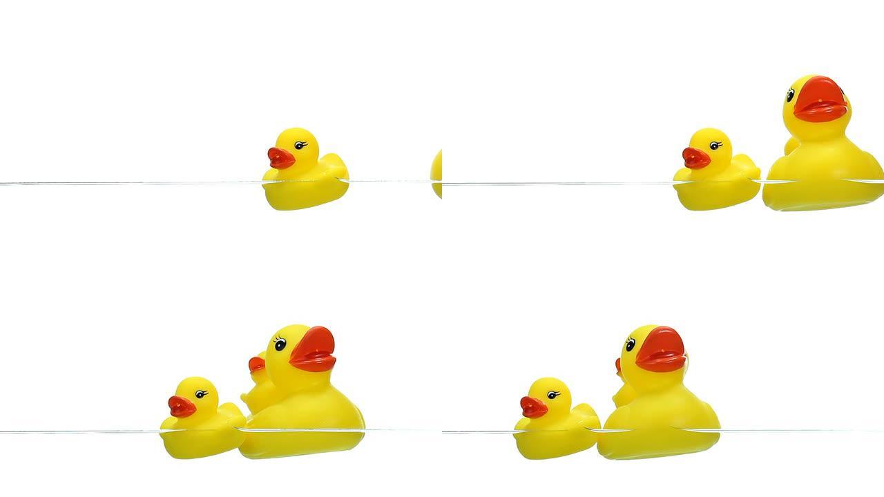两只漂浮在水面上的黄色橡皮鸭