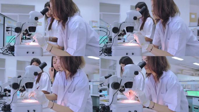 医学生用显微镜看细菌，多莉开枪