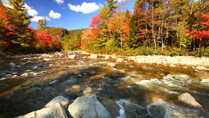 美国新罕布什尔州斯威夫特河穿过秋叶的河流