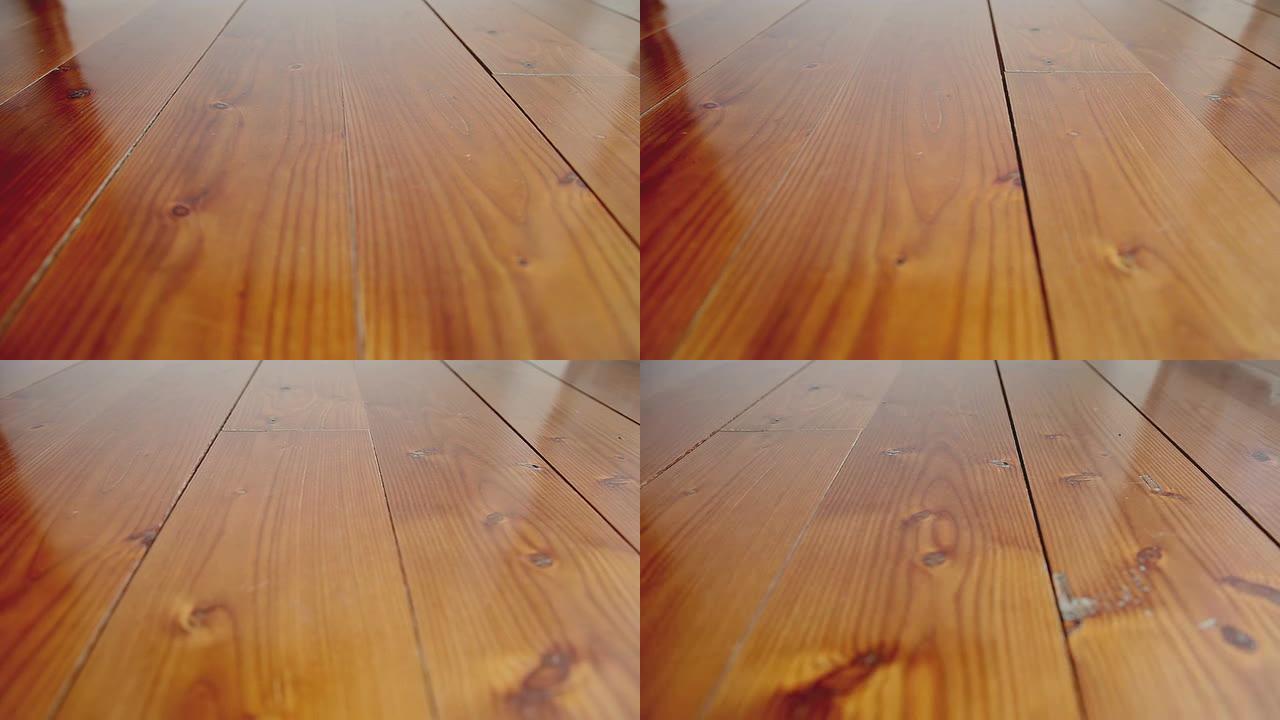 DOLLY：硬木地板
