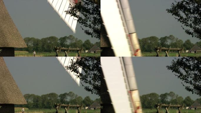荷兰典型的圩田中的荷兰风车