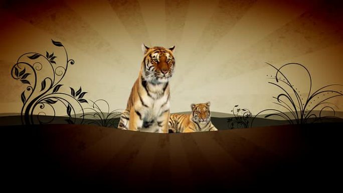 两只老虎两只老虎