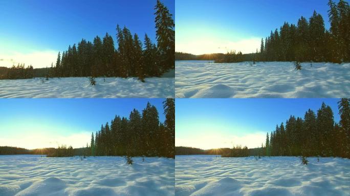 日落时田园诗般的冬季景观