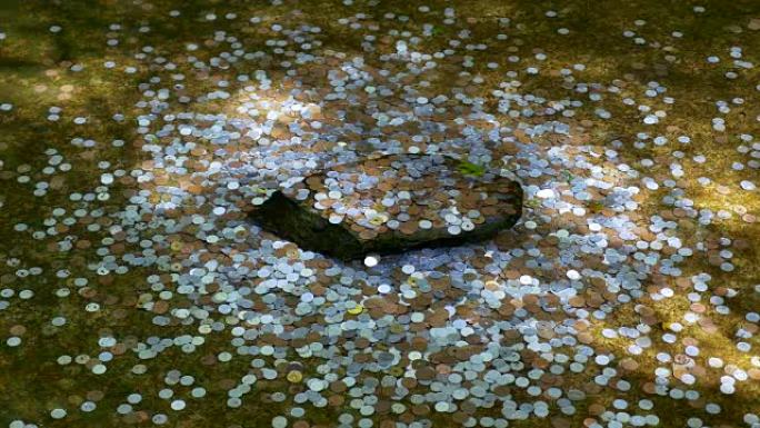 日本装满硬币的许愿池。