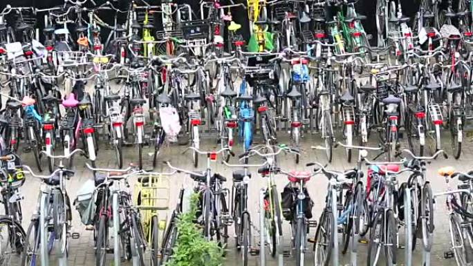 阿姆斯特丹的自行车，平移