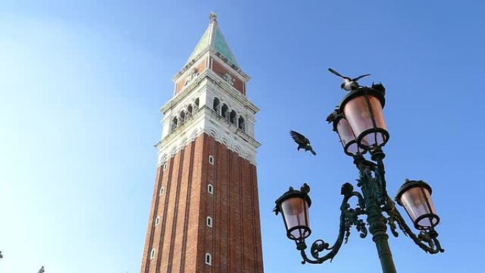 威尼斯-慢动作威尼斯地标鸟儿停驻唯美建筑
