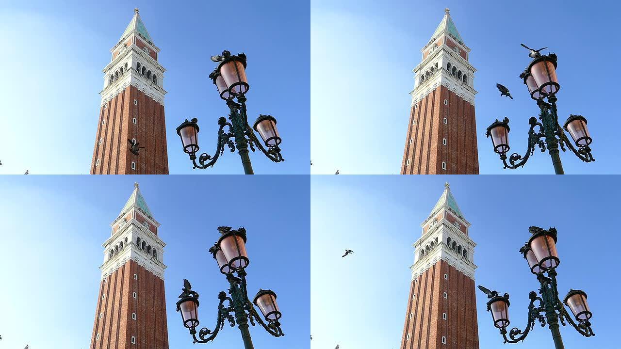 威尼斯-慢动作威尼斯地标鸟儿停驻唯美建筑