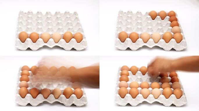 托盘上的鸡蛋，延时镜头。