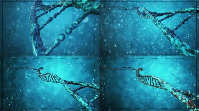 dna编码变化科学发现生物奥秘科技人员