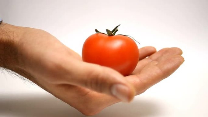 展示手中的番茄