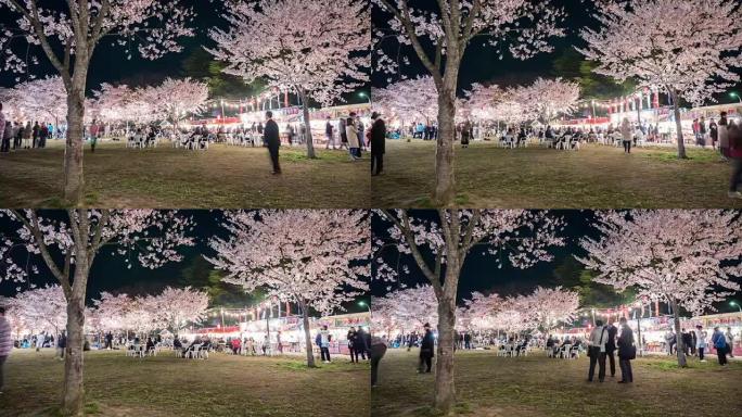 4k: 人们在仙台公园欣赏樱花 (樱花)