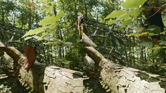 SLO MO赤脚跑步者在森林中踏过一根原木