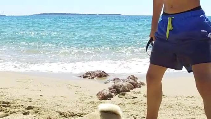 在海滩上玩耍的哈巴狗。慢动作