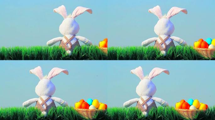 复活节兔子兔子