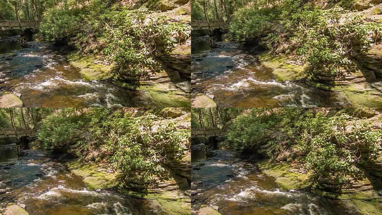河流和福雷斯特岩石