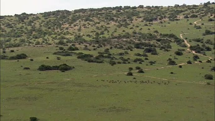 南非马卡纳卡卡杜区市政当局沙姆瓦里保护区-鸟瞰图-东开普省