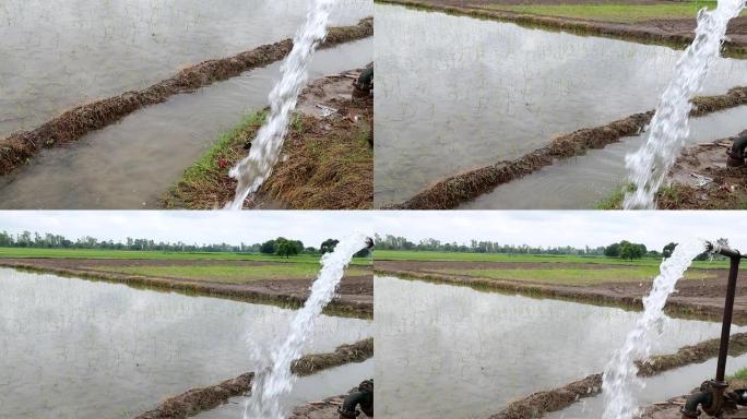 绿地灌溉