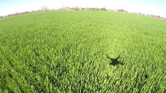 无人机在草地上飞行