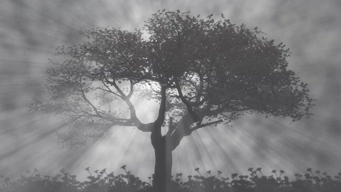 雾中的光之树