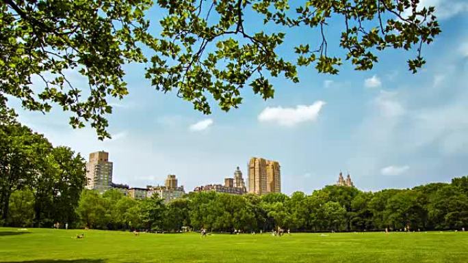 纽约中央公园国外建筑国外景观地标国外空镜
