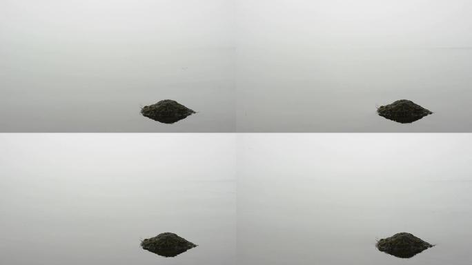 湖中薄雾孤岛