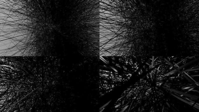 抽象black-lines-3d概念